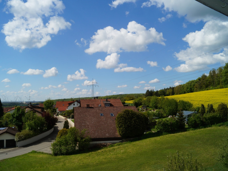 1499_1224.JPG