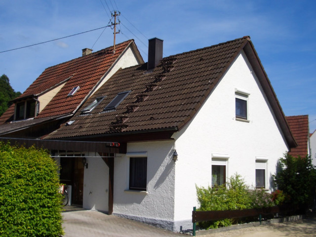 Referenzbild