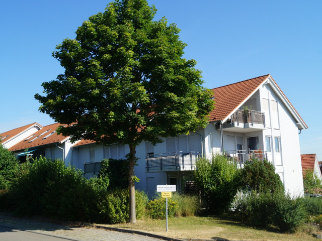 Referenzbild