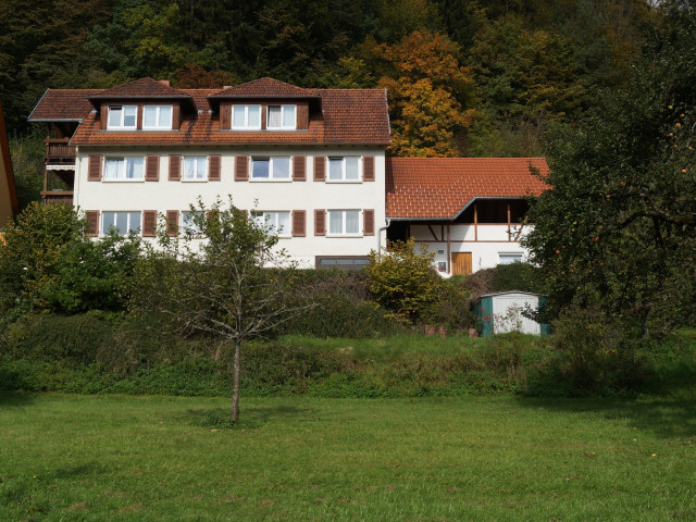 Referenzbild