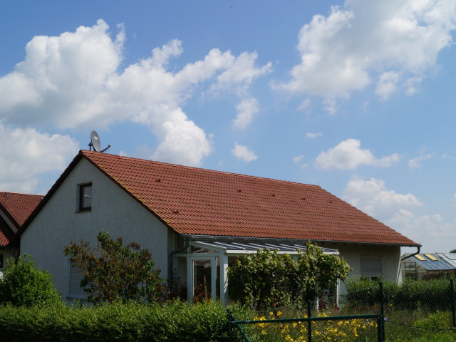 Referenzbild