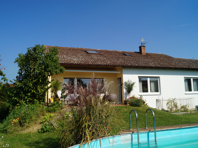 Referenzbild