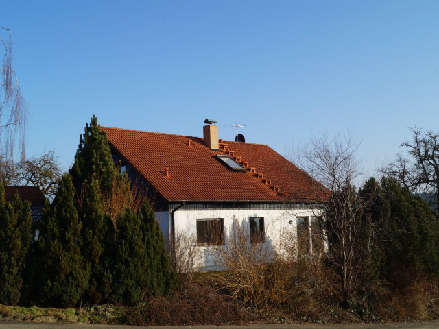 Referenzbild